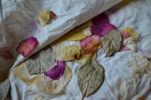 Eco Dying with Roses